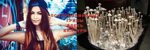 мяу мяу кристалл Каменногорск