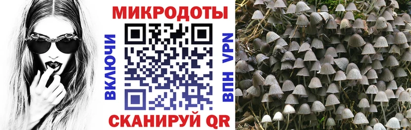 Купить Обь Галлюциногенные грибы MAGIC MUSHROOMS